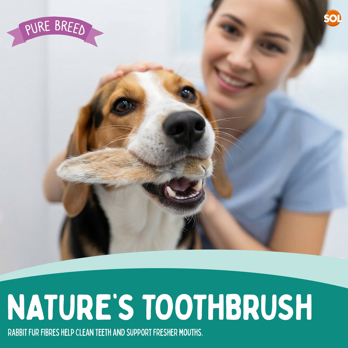 Pure Breed Rabbit Ears with Fur for Dogs – 300g (6 × 50g Bags) 100% Natural Air-Dried Chews Long-Lasting Snacks Grain-Free Single Ingredient Low Calories Rabbits Ears with Fur For Dogs Happy Pooch