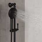 Open Box - Pfister HSC-05SHWSDB - Hand Showers Showers