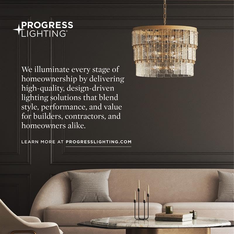 Open Box - Progress Lighting P550100-031-30 - Pendants Outdoor Lighting