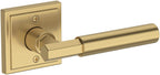 Open Box - Baldwin PSRIDSSR150 - Door Levers Door Hardware