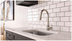 Open Box - Pfister GT529-BID - Kitchen Faucet