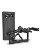 Spirit Prone Leg Curl 43 Series
