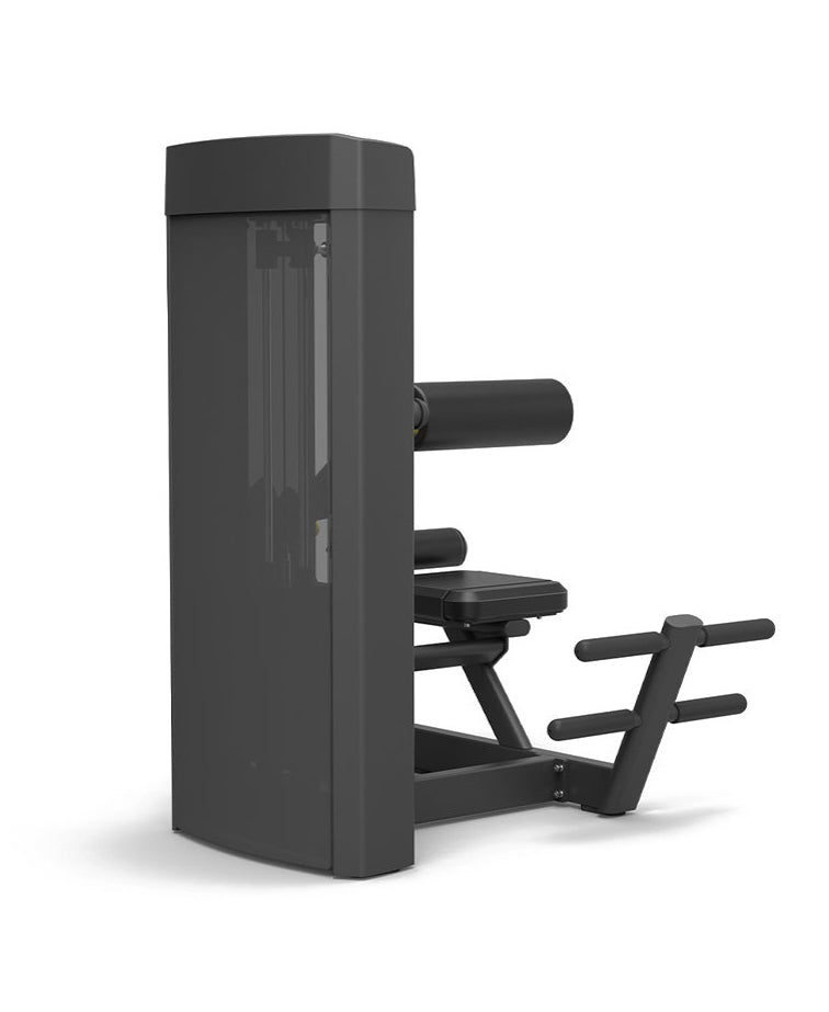Spirit Back Extension 43 Series