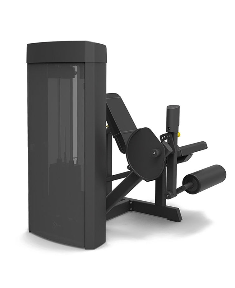 Spirit Leg Extension 43 Series