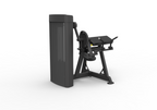 Spirit Dual Biceps Curl / Triceps Extension