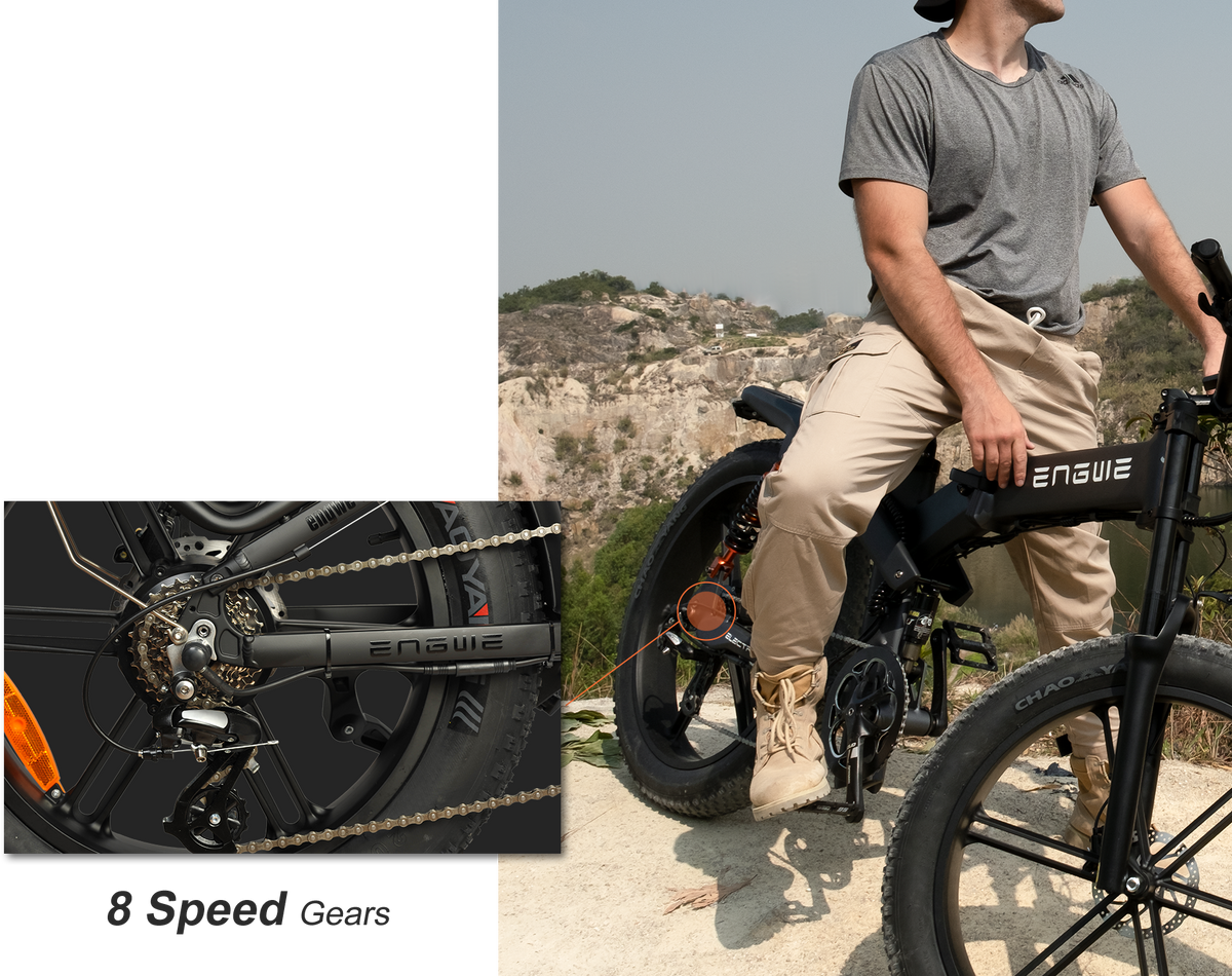 Engwe X20 Electric Bike Grey