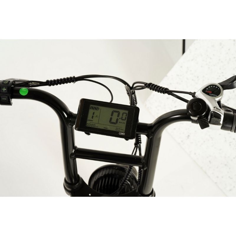 Knaap Bikes 2 Seater Fat Tyre Electric Bike