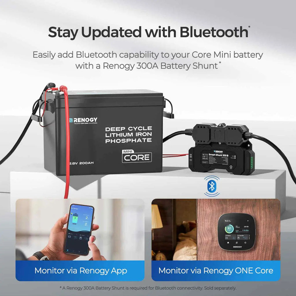 Mini Size 12V 200Ah LiFePO4 Battery w/ Low-Temperature Protection