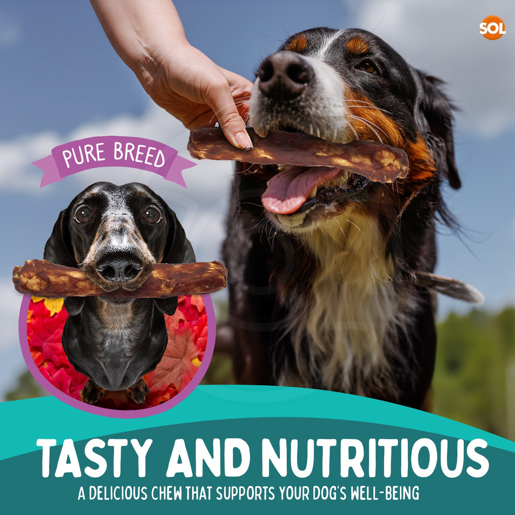 4-12pk Collagen Dog Treats Beef Chewy Rolls Large Long Lasting Easy Digest Joint
