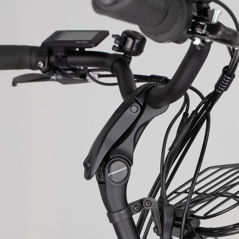 Aitour Electric Trike Heal Middle 250W