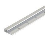 Aluminum Satin Clear Moulding Cap w/Nails