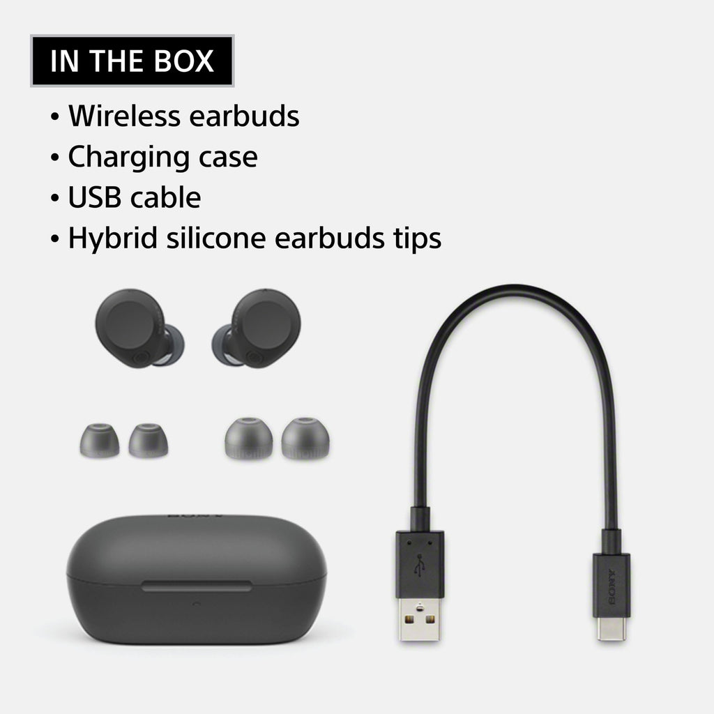 Certified Refurbished - SONY WFC710N/L Headphones