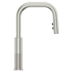 Open Box - Pfister GT-529-MTS - Kitchen Faucet