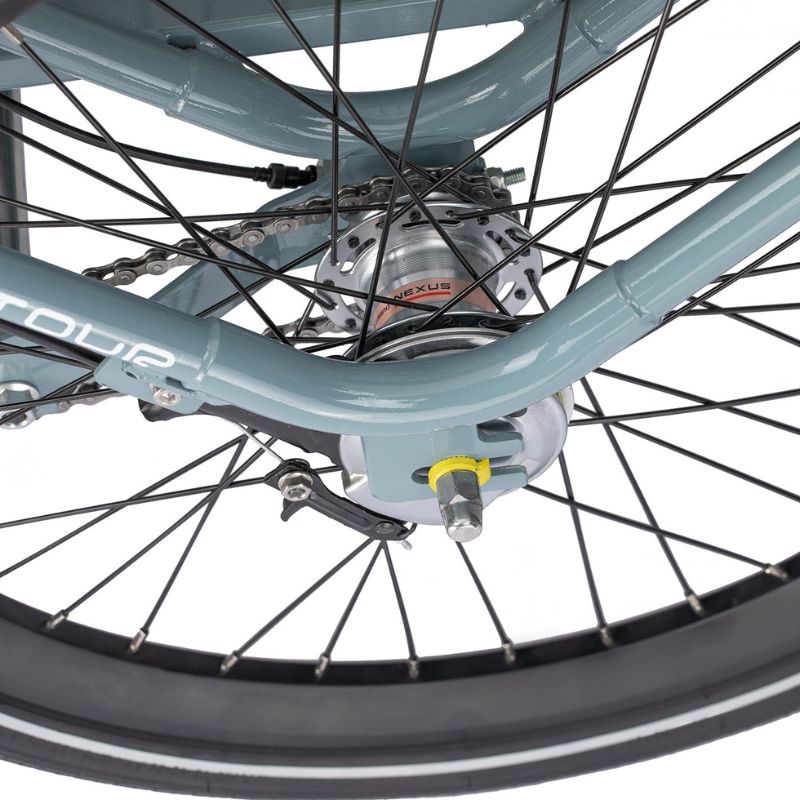 Aitour Electric Trike Heal Middle 250W
