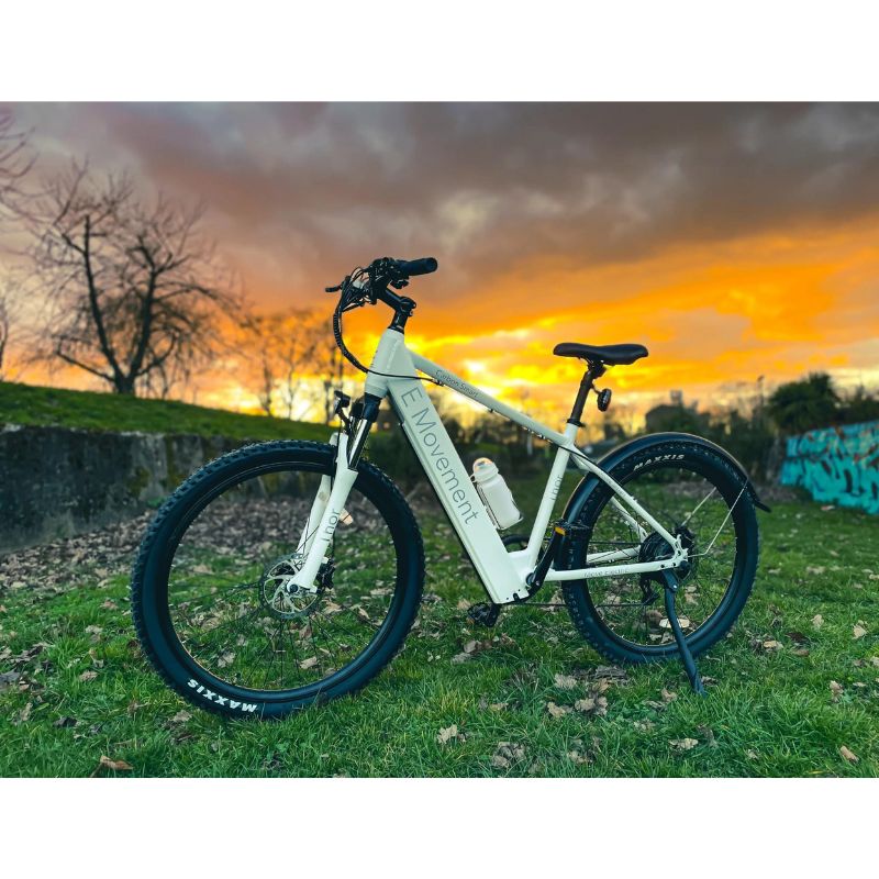 E-Movement Thor Lightweight Electric Mountain Bike 350W