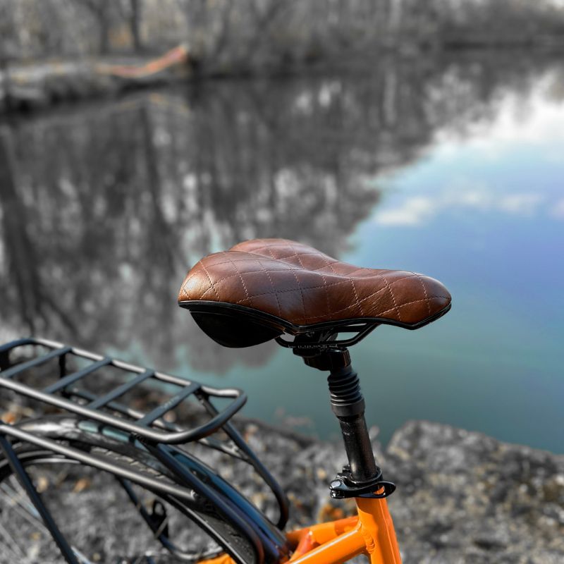 Juicy Bike Roller Hybrid Step Through Electric Bike