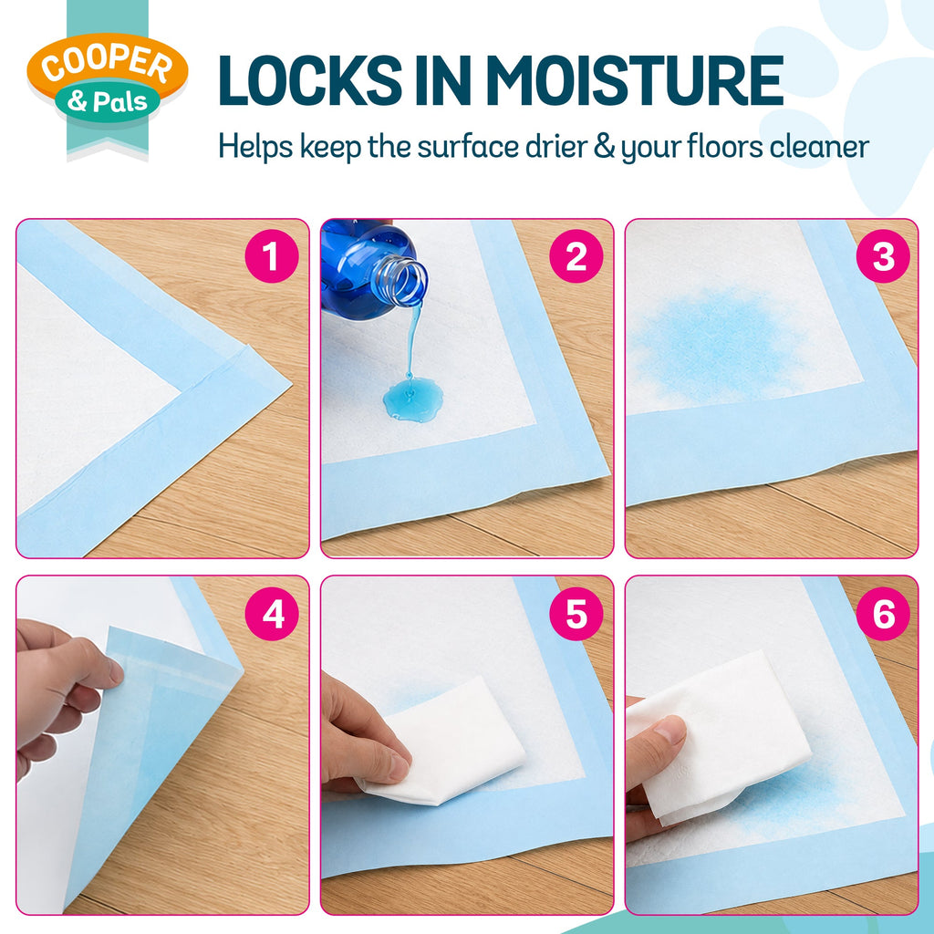 100pk Puppy Training Pads Premium Puppy Pads Perfect for Puppy Toilet Training, Dog Training Pads for Puppy Training, Ideal Indoor and Outdoor Pee Pads Dogs, Absorbent Dog Pee Pad for your Furr Baby