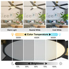 52 Inches Black and Gold Modern Ceiling Fan with LED Lights, 6 Speeds DC Motor Indoor Ceiling Fan for Large Room