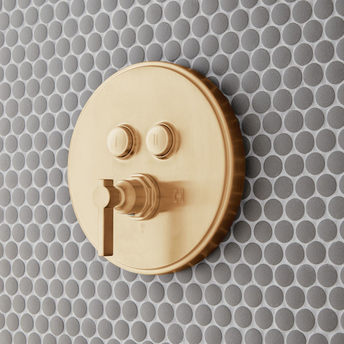 Open Box - Signature Hardware SHGF8040BG - Valve Trim Only Showers