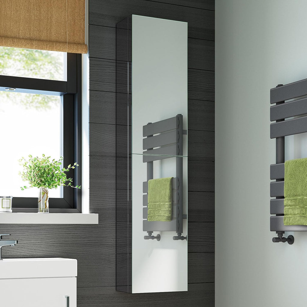 Bergen 2 Door Non Illuminated Tall Mirror Cabinet - 1300mm x 300mm