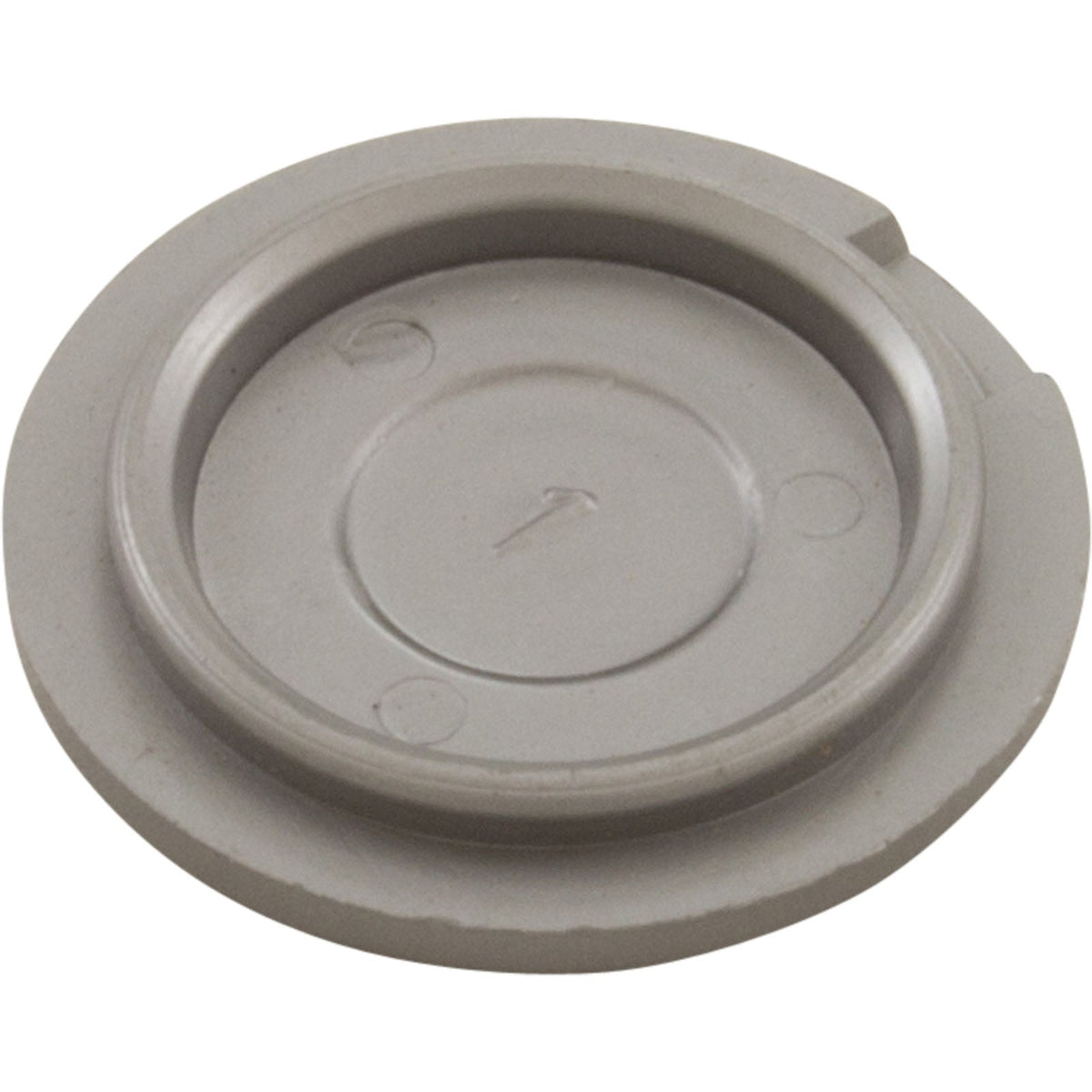 Hub Cap, Silver, Zodiac/Polaris R0615600