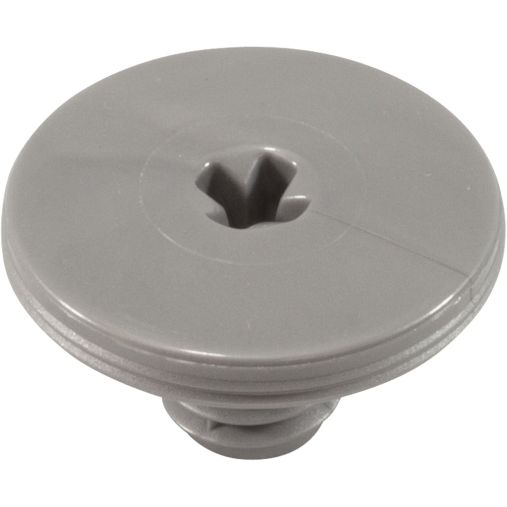 Retainer Screw, Silver, 2 Pk, Zodiac/Polaris R0838800