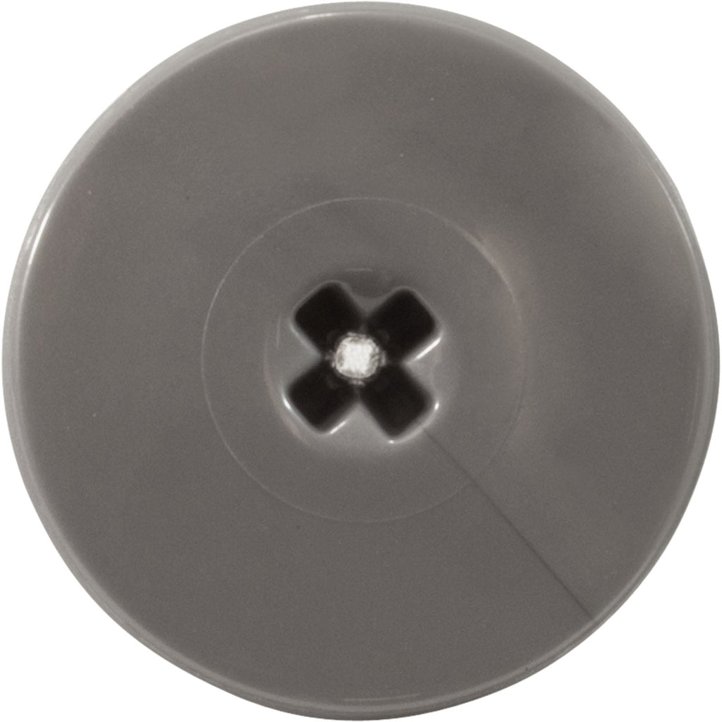 Retainer Screw, Silver, 2 Pk, Zodiac/Polaris R0838800
