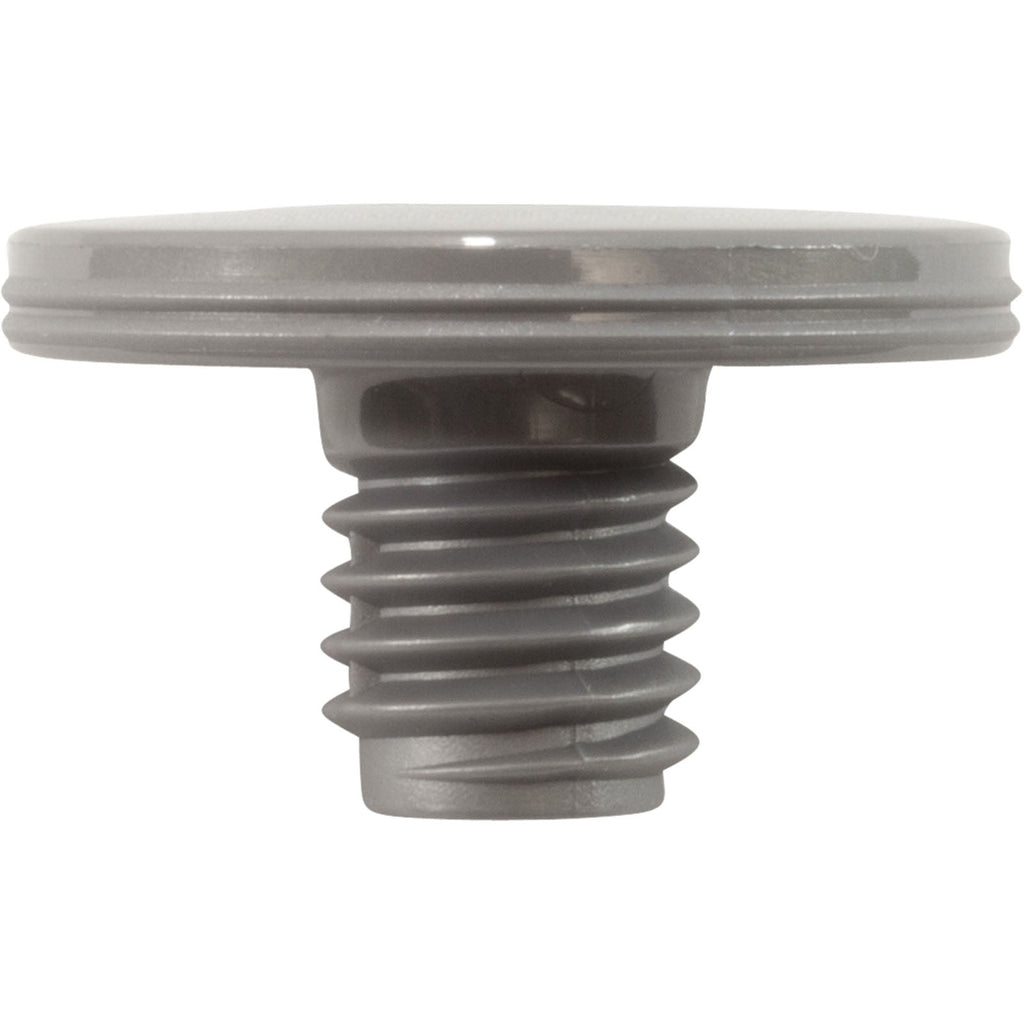 Retainer Screw, Silver, 2 Pk, Zodiac/Polaris R0838800
