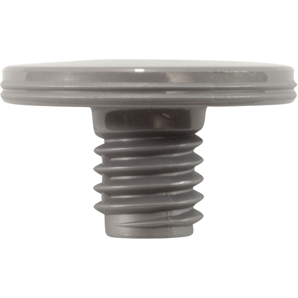 Retainer Screw, Silver, 2 Pk, Zodiac/Polaris R0838800