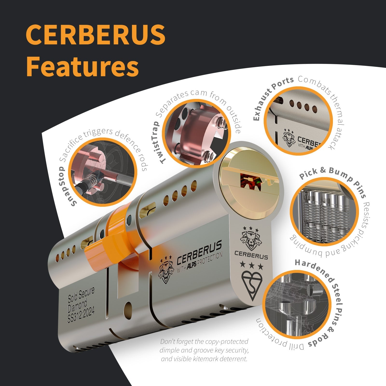 CERBERUS TS007 3* Euro Cylinder