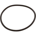 PENTAIR UNION NUT O-RING 51013500