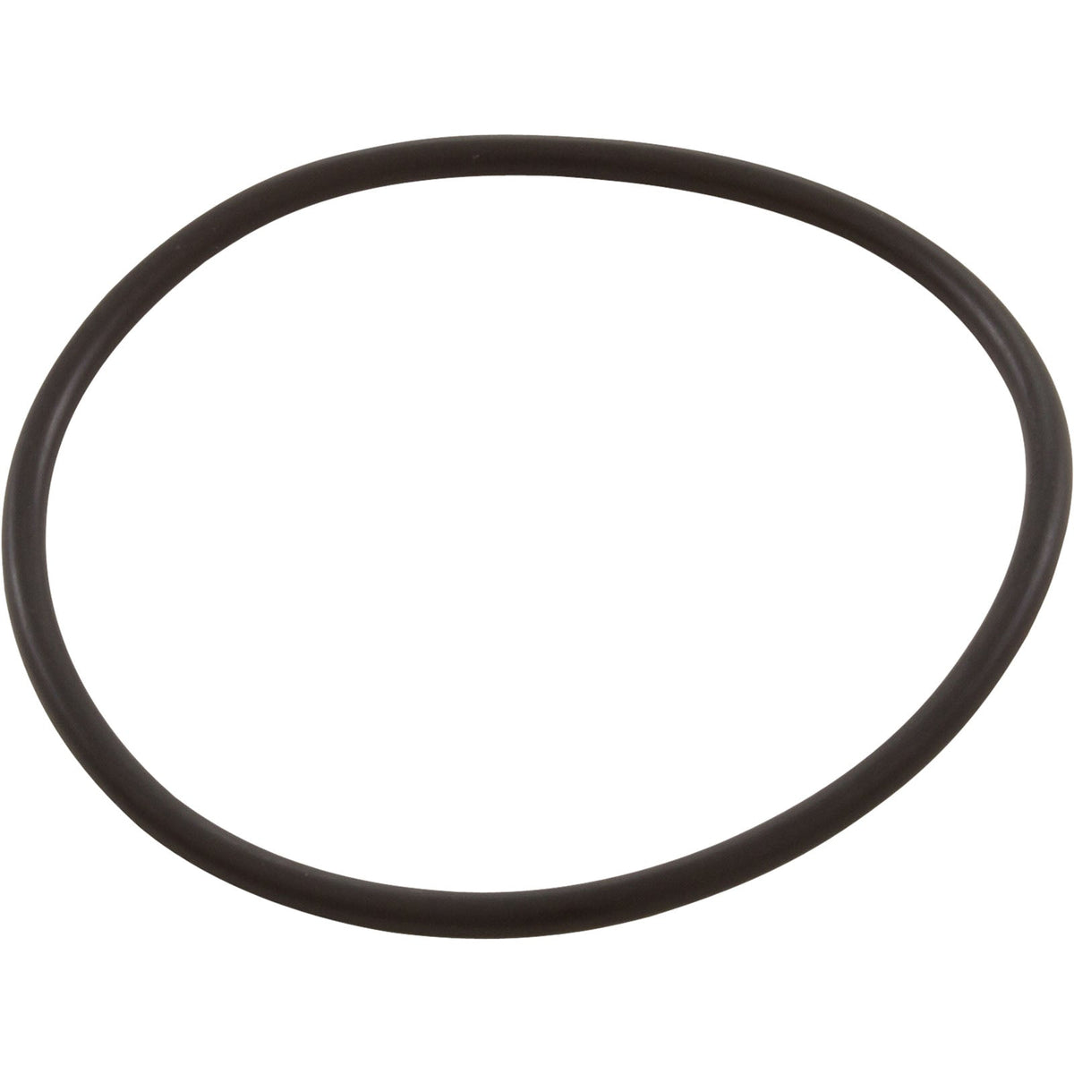 PENTAIR UNION NUT O-RING 51013500