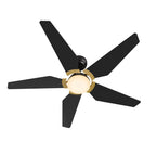 Lumaria 52 inch 5-Blade Ceiling Fan with LED Light Kit & Remote Control - Black