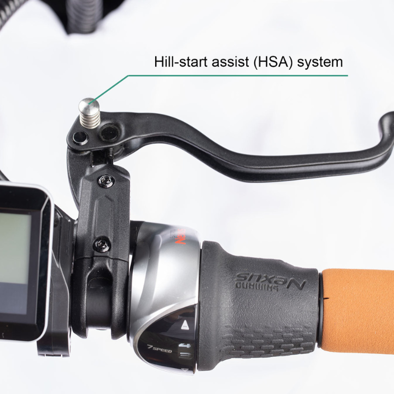Aitour Cargo Electric Bike - Family C 250W