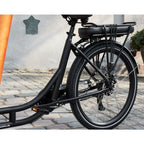 AMCargo Bikes Ultimate Harmony Tadpole Cargo Electric Bike 250W