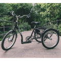 AMCargo Bikes Low Step Adult Electric Tricycle 250W