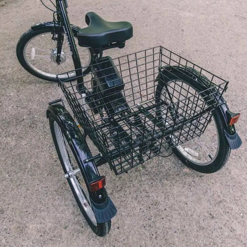 AMCargo Bikes Low Step Adult Electric Tricycle 250W
