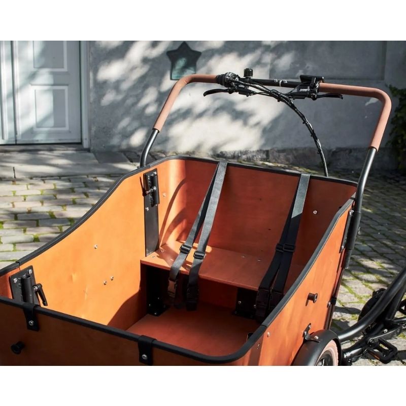 AMCargo Bikes Ultimate Harmony Tadpole Cargo Electric Bike 250W