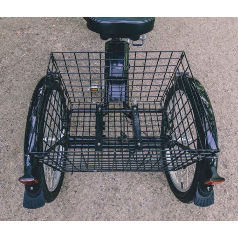 AMCargo Bikes Low Step Adult Electric Tricycle 250W