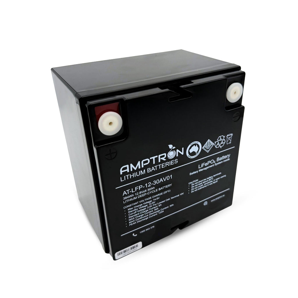 12V 30Ah LiFePO4 Battery Combo Kit with 6A charger and Mini Anderson
