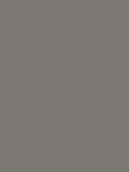 Standard Paint Options