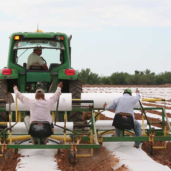 Agribon AG-30 Frost Protection Floating Row Cover