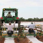 Agribon AG-30 Frost Protection Floating Row Cover