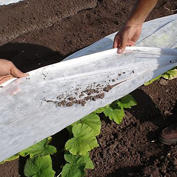 Agribon AG-19 Frost Protection Floating Row Cover