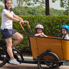 Aitour Cargo Electric Bike - Family C 250W