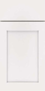white cabinet door with shaker style panel