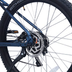 Ampere X-Trail Electric Mountain Bike