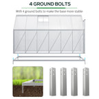 BloomGreen 6' x 12' x 6.5' Polycarbonate Greenhouse with Adjustable Roof Vent & Sliding Door, Clear