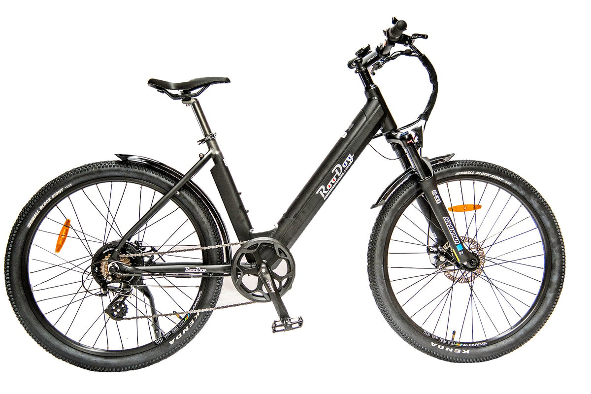 RooDog Avatar 2.0 Electric Bike