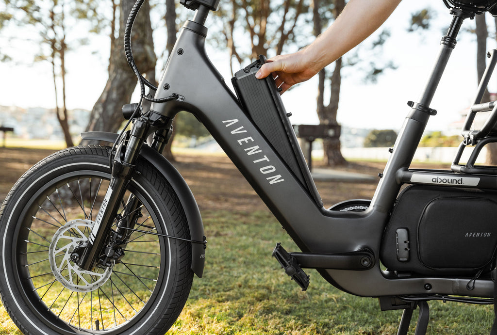 Extra Aventon Battery